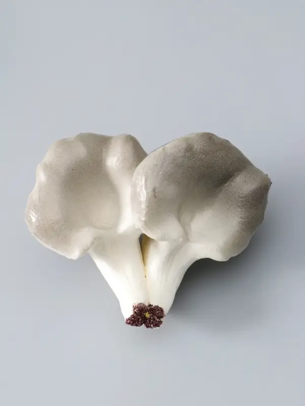 Муляж "Грибы вешенки" 14х10,5 см, бело-серый