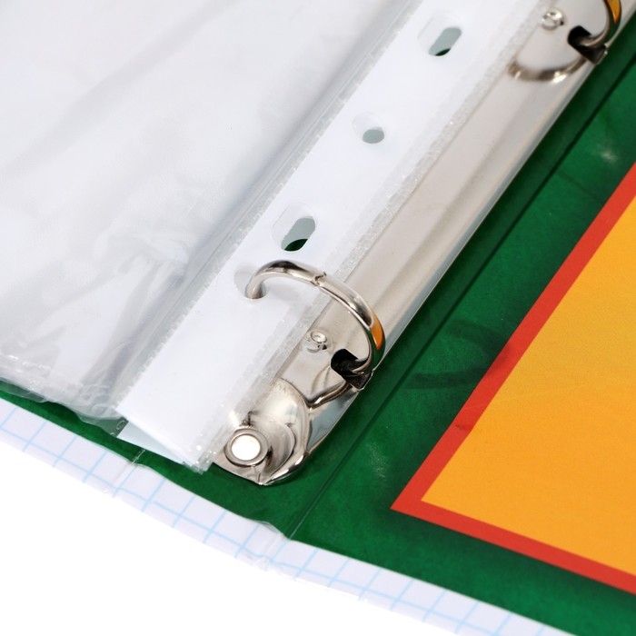 Папка школьная на кольцах «Портфолио школьника», 6 листов-разделителей, 24,5 х 32 см.