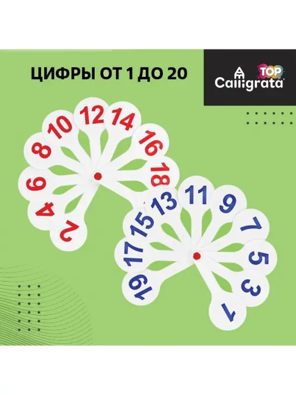 Набор веер-касс, гласные, согласные, цифры от 1 до 20, Calligrata TOP, плотные, 3 штуки, пакет с европодвесом
