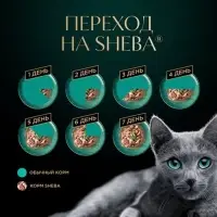 Влажный корм Sheba для кошек, лосось, пауч, 75 г
