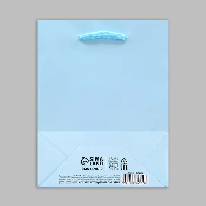 Пакет подарочный ламинированный, упаковка, «Голубой», S 12 х 15 х 5.5 см