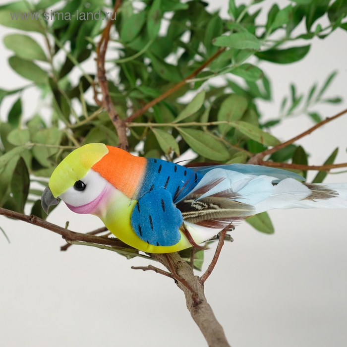 Птичка для декора и флористики, на прищепке, МИКС, пластиковая, 1шт., 8 х 8 см Птичка для декора и флористики, на прищепке, МИКС, пластиковая, 1шт., 8 х 8 см