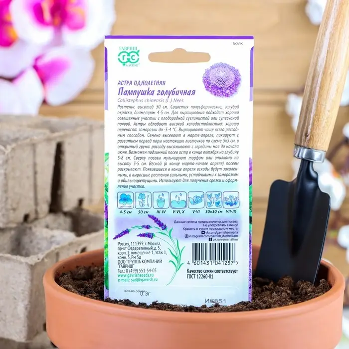 Семена цветов Астра Пампушка голубичная, помпонная, О, ц/п, 0,3 г