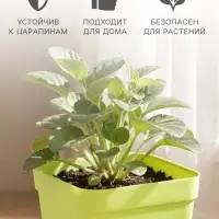 Горшок цветочный с поддоном, 7&times;7&times;7.5 см, 200 мл, пластиковый, МИКС