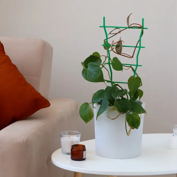 Шпалера, 37×19×0.5 см, пластик, зелёная Шпалера, 37×19×0.5 см, пластик, зелёная