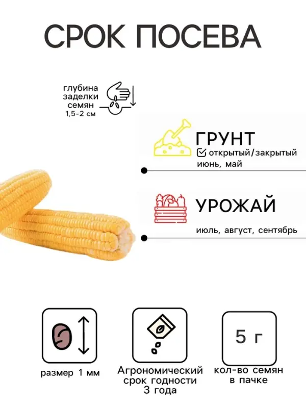 Семена Кукуруза «Бон Аппетито», 5 г, «Сембат» Семена Кукуруза «Бон Аппетито», 5 г, «Сембат»
