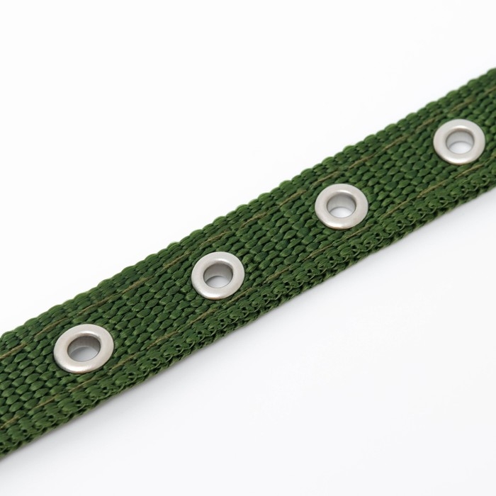 Ошейник Ошейник "Комфорт" комбинированный, 45 х 2 см, ОШ 30-39 см, темно-зеленый