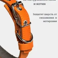 Ошейник, 50&times;2.5 см, подклад из ватина, кожа, оранжевый