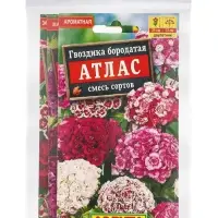 Набор Семена цветов Гвоздика турецкая многолетняя (238758319) ВБ