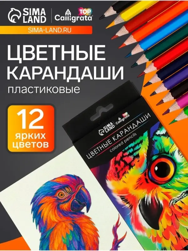 Карандаши цветные, 12 цветов, Calligrata TOP, шестигранные, пластиковые
