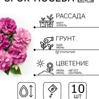 Семена Цветов Петуния махровая &laquo;Дуо Горная лаванда&raquo;, F1, Premium seeds