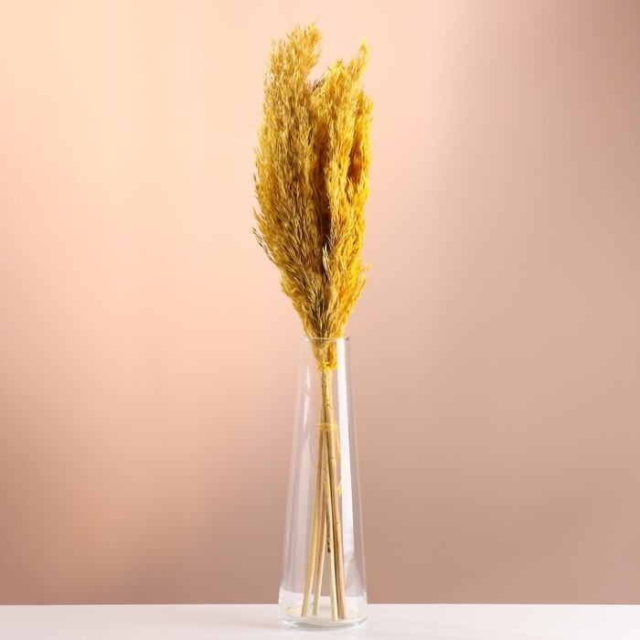 Набор сухоцветов Набор сухоцветов "Камыш", банч длина 65 (+/- 6 см), желтый