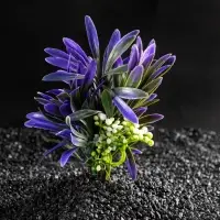 Растение искусственное аквариумное, 14.5&times;13&times;13 см