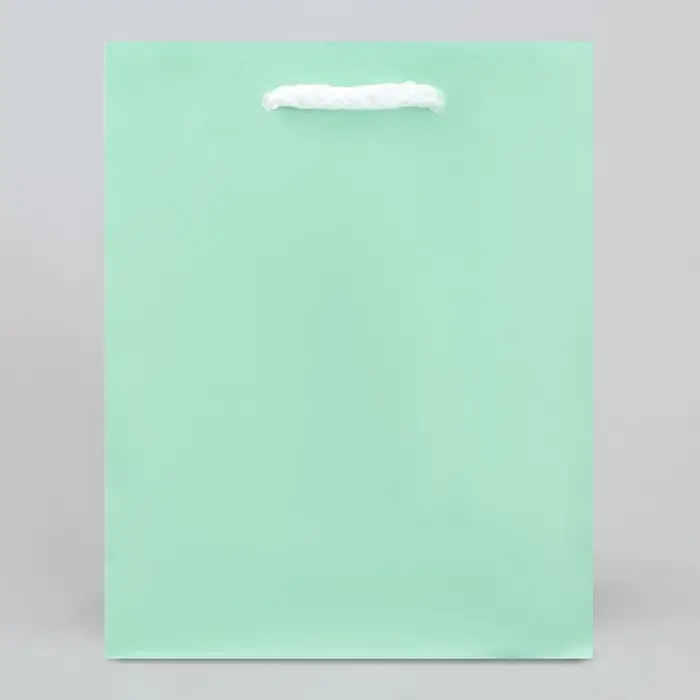 Пакет подарочный ламинированный, упаковка, &laquo;Зелёный&raquo;, S 12 х 15 х 5.5 см