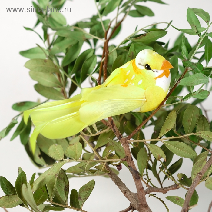 Птичка для декора и флористики, на прищепке, МИКС, пластиковая, 1шт., 8 х 8 см Птичка для декора и флористики, на прищепке, МИКС, пластиковая, 1шт., 8 х 8 см