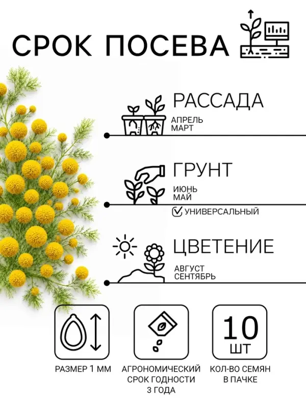 Семена цветов Краспедия шаровидная "Билли Батон", 10 шт