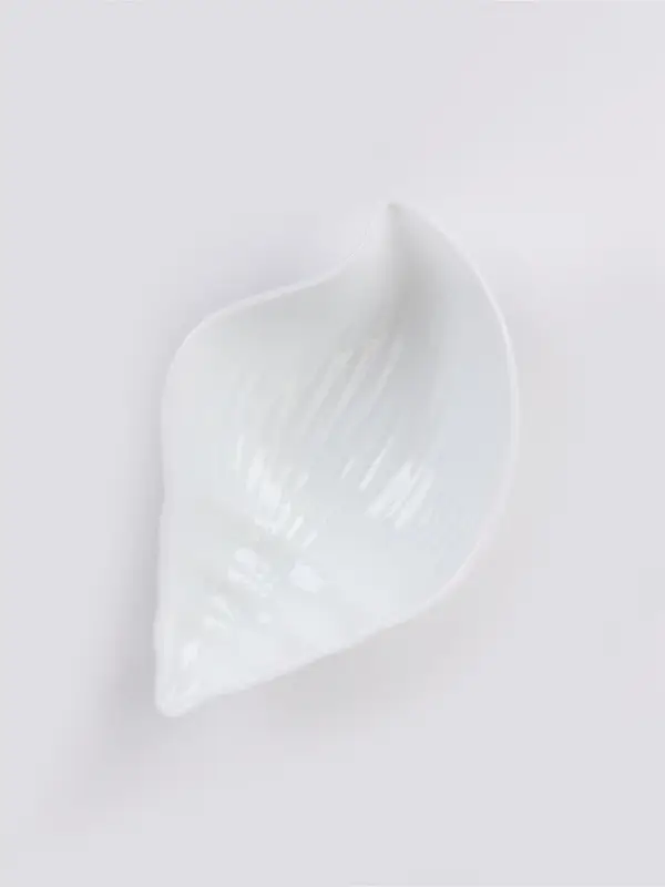 Блюдо сервировочное &laquo;Ракушка&raquo;, 21&times;13.2&times;6 см, стеклокерамика, белое