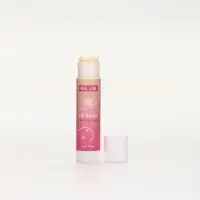 Подарочный набор новогодний Winter Fantasy, 4 бальзама и скраб для губ, URAL LAB