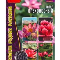 Семена цветов Лотос &laquo;Орехоносный&raquo;, 2 шт. &laquo;Григорьев&raquo;