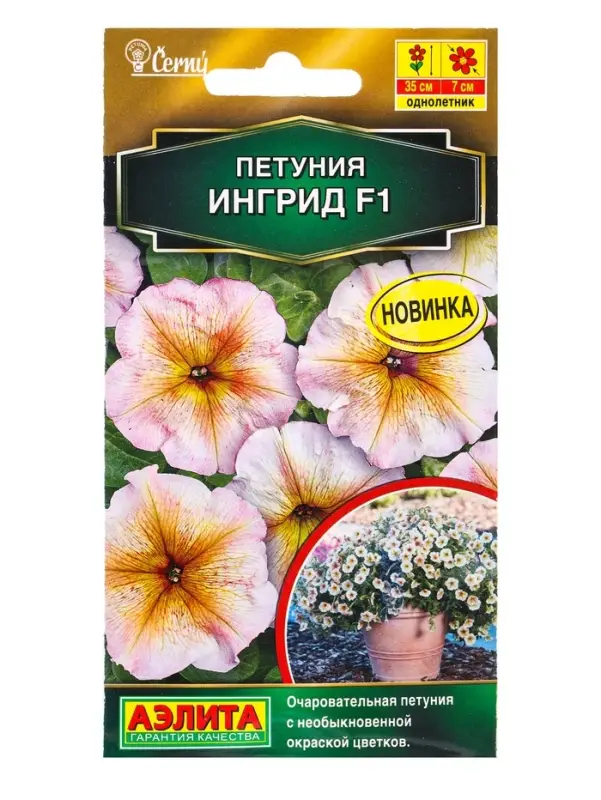 Семена цветов Петуния Ингрид F1 многоцветковая (драже) С. Cerny , Ц/П,7 шт. Семена цветов Петуния Ингрид F1 многоцветковая (драже) С. Cerny , Ц/П,7 шт.