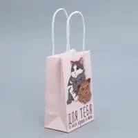 Пакет подарочный крафтовый, упаковка, &laquo;Подарок для тебя&raquo;, 15 х 10 х 6 см