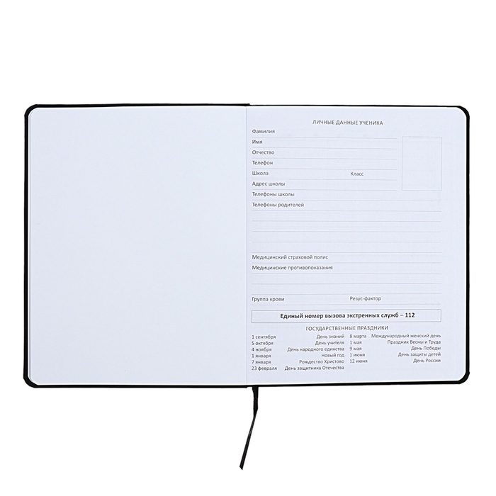 Дневник универсальный для 1-11 класса Anime Girl, твёрдая обложка, искусственная кожа, с поролоном, шелкография, ляссе, 80 г/м2