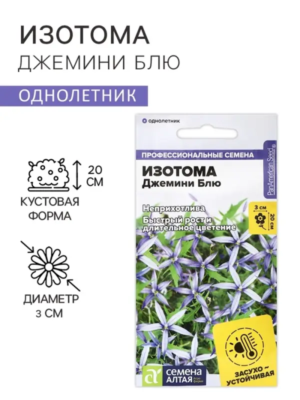 Семена цветов Изотома Джемини Блю, ц/п, 3 шт.