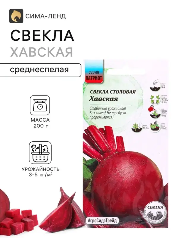 Семена Свекла &laquo;Хавская&raquo; 2 г