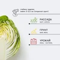 Семена Капуста брокколи &laquo;Тонус&raquo;, 0.5 г, раннеспелая, &laquo;Сембат&raquo;