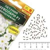 Семена цветов Петуния &laquo;Нуволари&raquo;, полуампельная, белоснежная, F1, 5 шт., Farao, &laquo;АЭЛИТА&raquo;