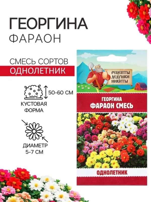 Семена цветов Георгина &laquo;Фараон&raquo;, смесь окрасок, 0.3 г, &laquo;Рецепты дедушки Никиты&raquo;
