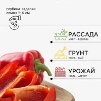 Семена Перец, &laquo;Фавилла&raquo;, F1, 5 шт., Seminis, &laquo;Агрос&raquo;