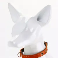 Ошейник кожаный однослойный  на  фетре неукрашенный, 1,2 см, ОШ 20-26 см,