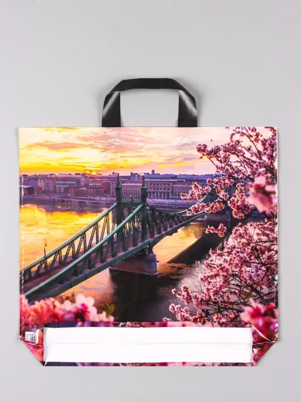 Пакет &laquo;Дунай&raquo;, полиэтиленовый с петлевой ручкой, 38&times;34 + 3 см, 70 мкм