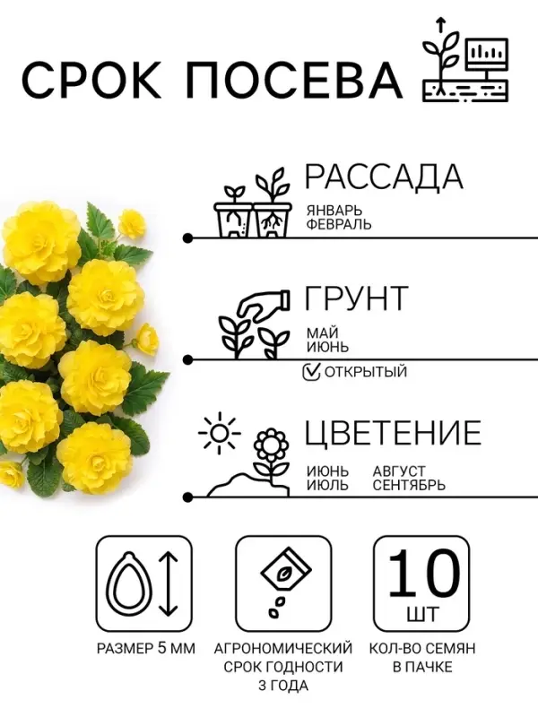 Семена цветов Бегония ампельная "Шансон" клубневая, желтая, 10 шт