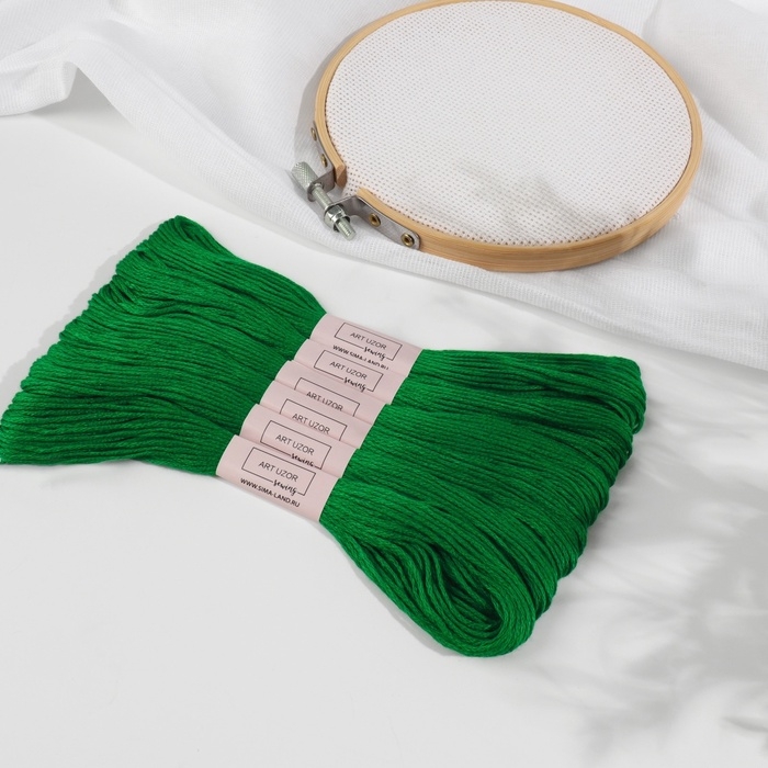 Набор ниток мулине №909, 8 ± 1 м, 6 шт, цвет изумрудный Набор ниток мулине №909, 8 ± 1 м, 6 шт, цвет изумрудный