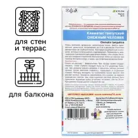 Семена Цветов Клематис тангутский "Снежный человек" ,10 шт , Семена Цветов Клематис тангутский "Снежный человек" ,10 шт ,