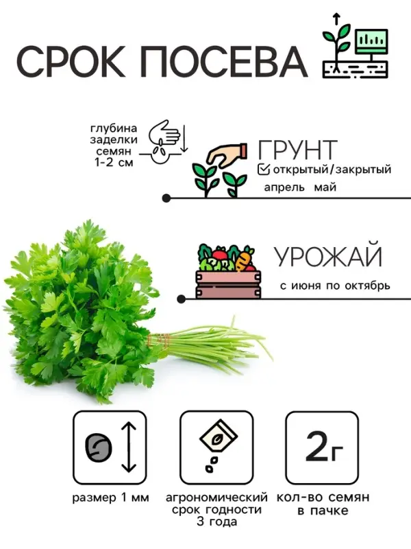 Семена Петрушка  Семена Петрушка "Обыкновенная листовая", 2 г