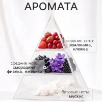 Диффузор ароматический с палочками Nero Lyra, 50 мл