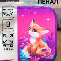 Пенал школьный, 3 секции, 14&times;21&times;4 см &laquo;Лисичка&raquo;