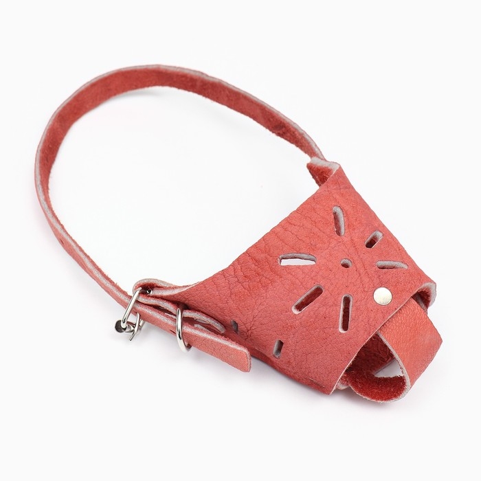 Намордник регулируемый из мягкой кожи, размер № 1, ДН 4-5 см, ОМ 13-15 см, коричневый Намордник регулируемый из мягкой кожи, размер № 1, ДН 4-5 см, ОМ 13-15 см, коричневый