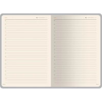 Ежедневник недатированный A5 PRESTIGE красный, 160л 3-352/04