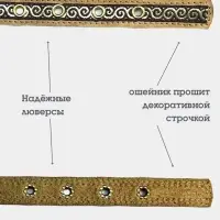 Ошейник, 45&times;2 см, с бантиком, тесьмой и стразами, кожа, бежевый