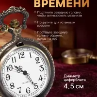 Часы карманные &laquo;Волк&raquo;, кварцевые, цепочка l-40 см, d=4.5 см
