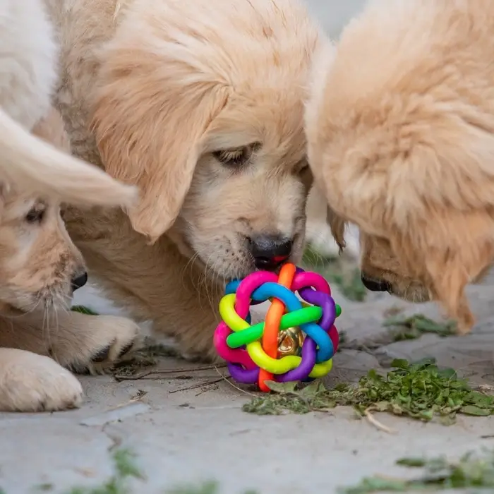 Мяч для собак &laquo;Молекула&raquo;, 7 см, с бубенчиком, МИКС