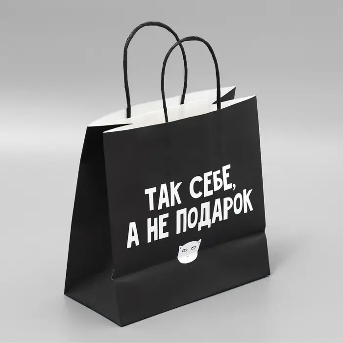 Пакет подарочный, упаковка, &laquo;Так себе, а не подарок&raquo;, 22&times;22&times;11 см