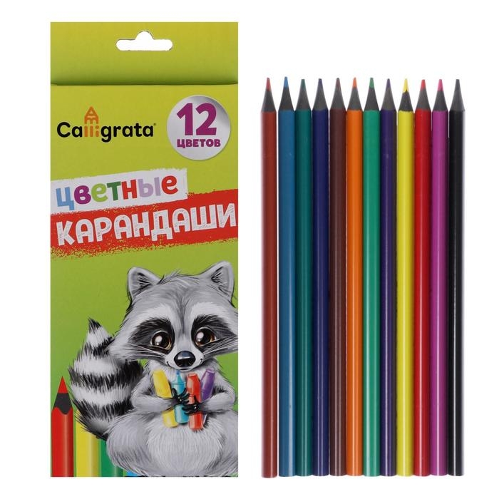 Карандаши цветные заточенные, 12 цветов, в картонной коробке Карандаши цветные заточенные, 12 цветов, в картонной коробке
