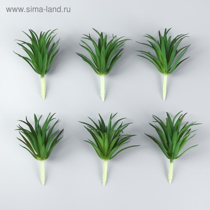 Искусственный суккулент для создания флорариума Искусственный суккулент для создания флорариума "Гастерия трехгранная" 7 см