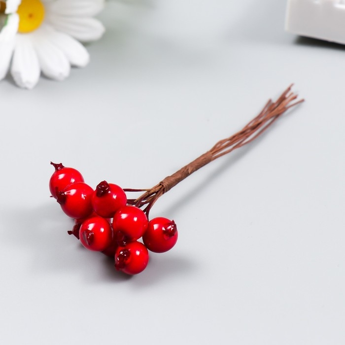 Декор для творчества Декор для творчества "Ягодки красные" 1 букет=10 ягод d=1 см 10 см