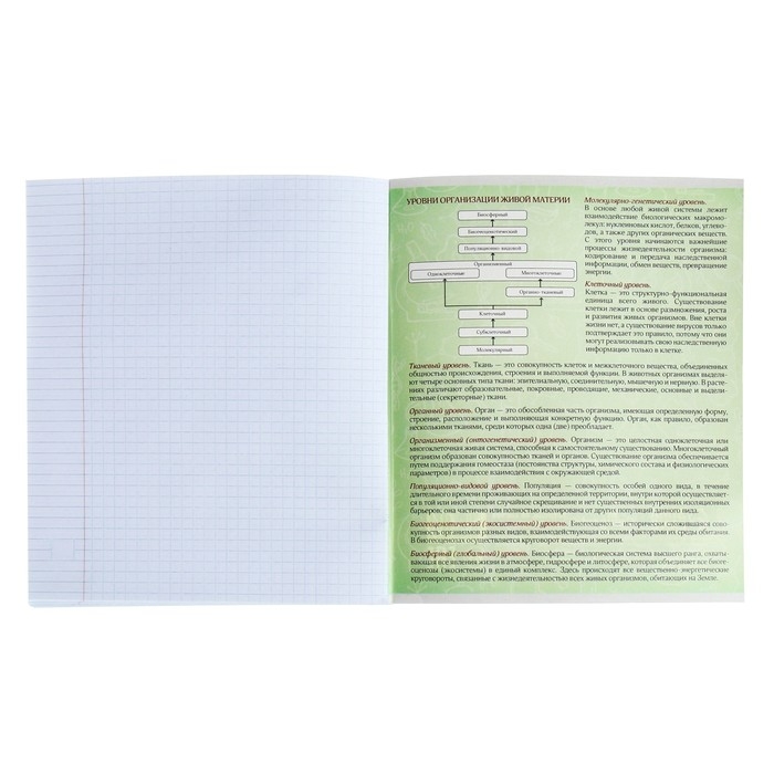 Тетрадь предметная Calligrata Тетрадь предметная Calligrata "На Чёрном", 48 листов в клетку Биология, со справочным материалом, обложка мелованный картон, УФ-лак, блок офсет
